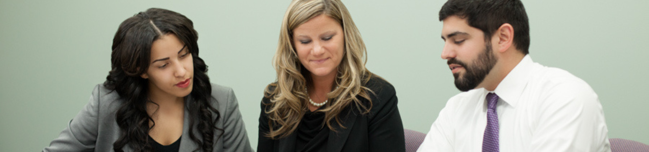 Business Law Minor Image